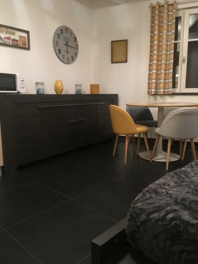 Les Appartements Berthe Molly Colmar Zewnętrze zdjęcie