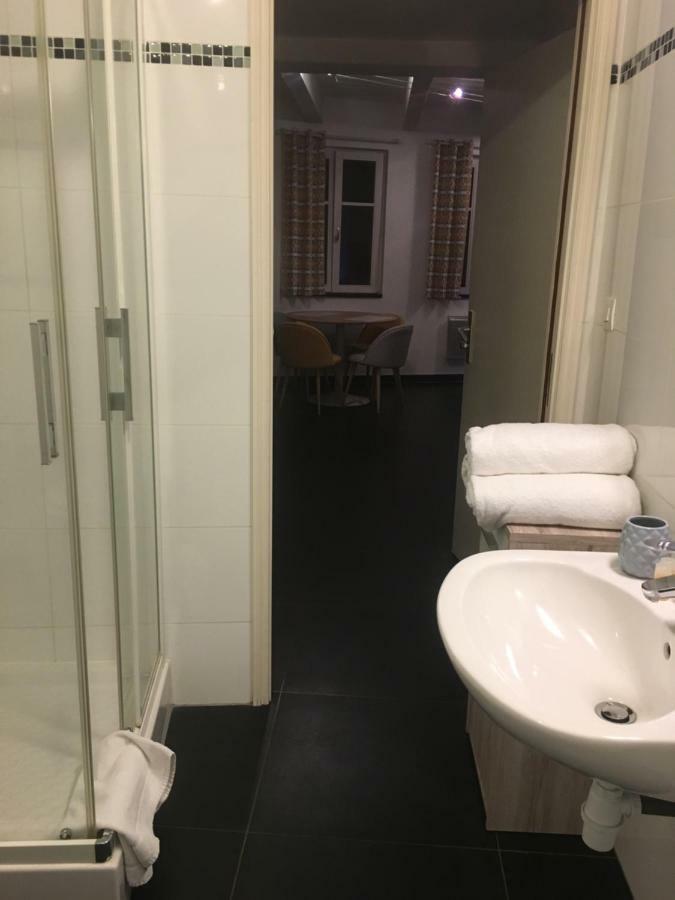 Les Appartements Berthe Molly Colmar Zewnętrze zdjęcie